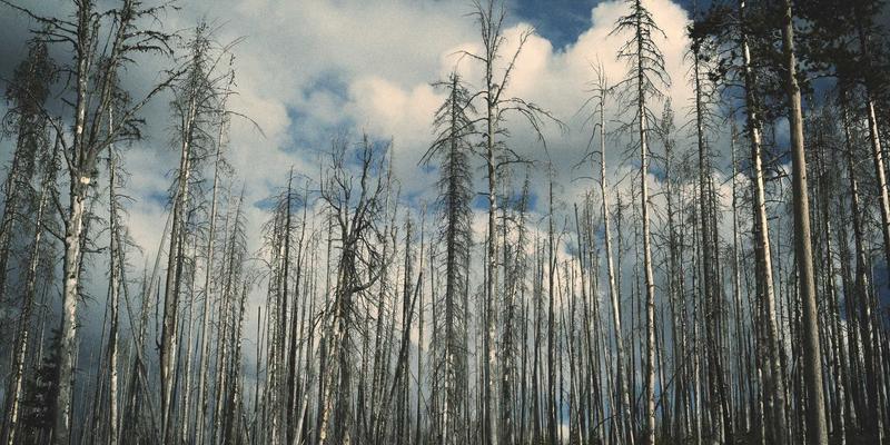 ADV骑士的终极改装清单:从防护到舒适,打造你的长途穿越利器