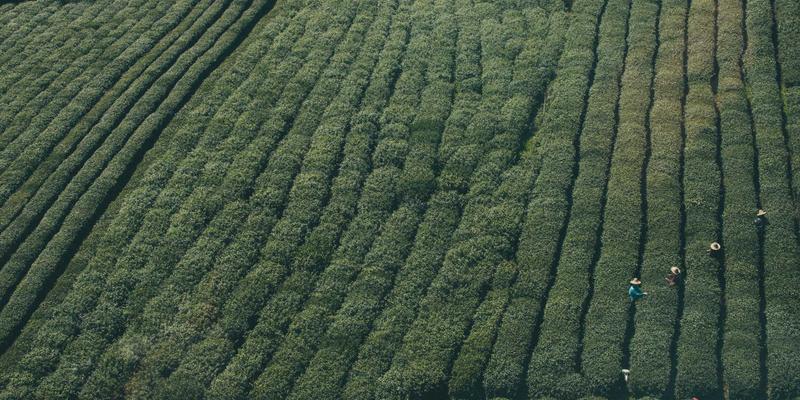 从赛道到旷野:揭秘骑行靴三大分类,选对装备让摩旅更安全