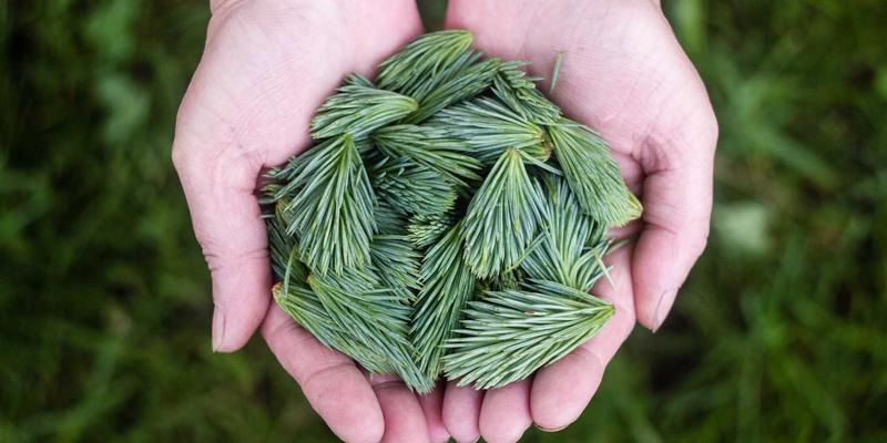 守护骑行每一公里：摩托车行车记录仪前后双摄安装全攻略，为安全与回忆上双保险