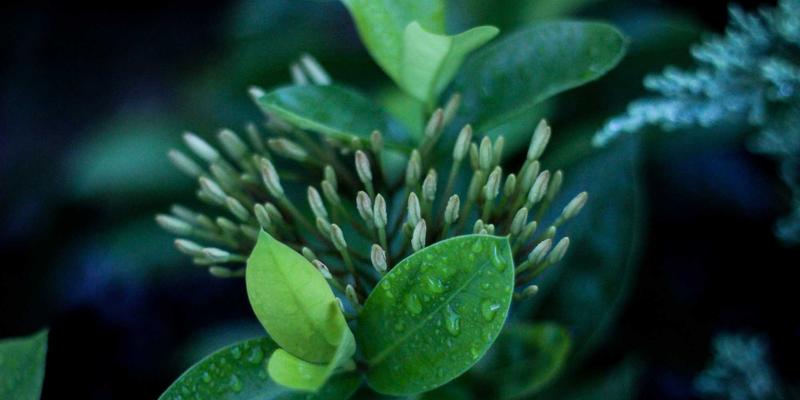 摩旅必备！Cardo vs Sena蓝牙耳机实测：连接性能决定你的诗和远方