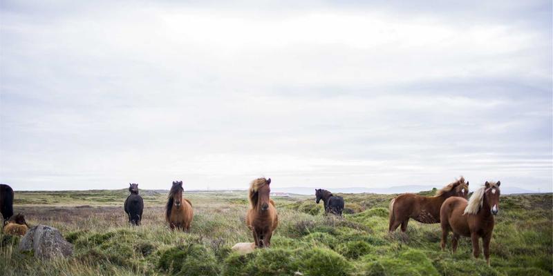 摩旅路线、装备与头盔：解锁完美骑行的三大核心要素